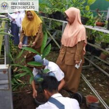 galeri tahun 2020-2025