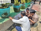 layanan sarpras, pengecatan gedung sekolah